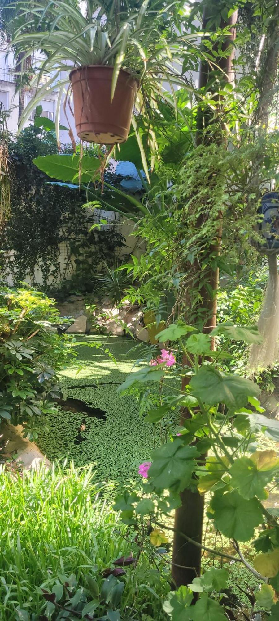 Belgrano Buenos Aires Exterior foto